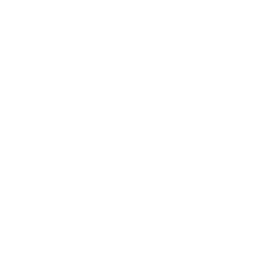 Celum Partner
